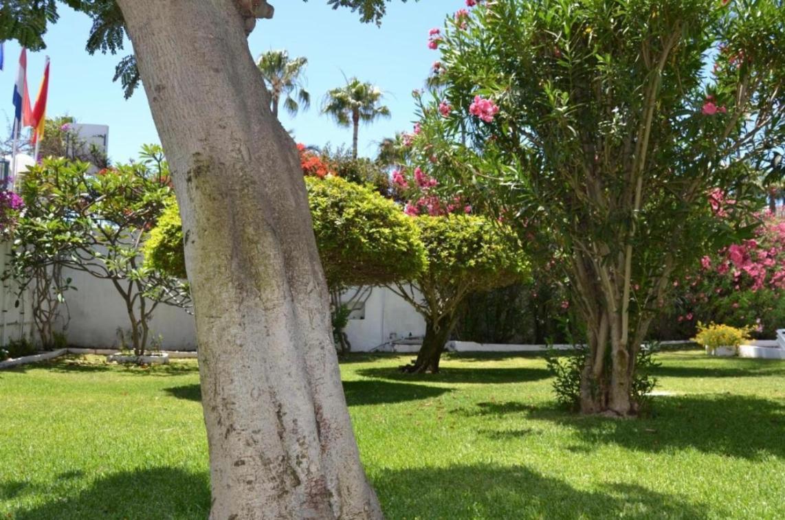 Ocean Blue 405 Apartman San Bartolomé Kültér fotó